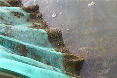 高壓清洗機(jī),進(jìn)口高壓清洗機(jī),高壓清洗機(jī)價(jià)格,超高壓清洗機(jī) 高壓清洗機(jī),進(jìn)口高壓清洗機(jī),高壓清洗機(jī)價(jià)格,超高壓清洗機(jī)