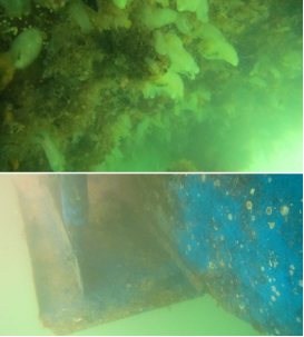 高壓清洗機,進口高壓清洗機,高壓清洗機價格,超高壓清洗機 高壓清洗機,進口高壓清洗機,高壓清洗機價格,超高壓清洗機