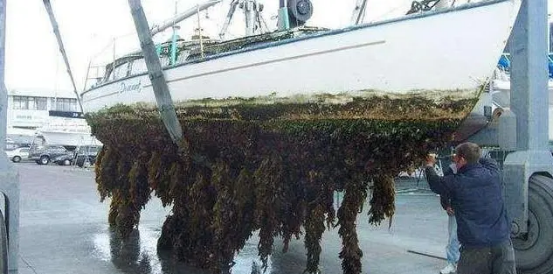 高壓清洗機,進口高壓清洗機,高壓清洗機價格,超高壓清洗機 高壓清洗機,進口高壓清洗機,高壓清洗機價格,超高壓清洗機