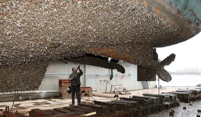 高壓清洗機,進口高壓清洗機,高壓清洗機價格,超高壓清洗機