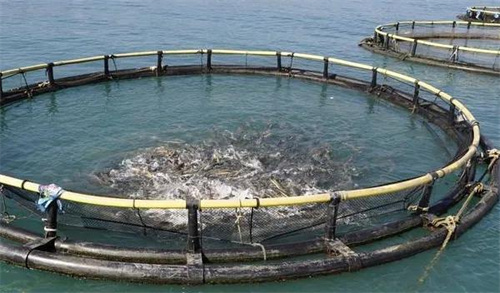 高壓清洗機(jī),進(jìn)口高壓清洗機(jī),高壓清洗機(jī)價(jià)格,超高壓清洗機(jī)