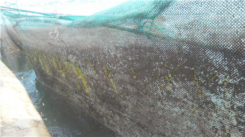 高壓清洗機,進口高壓清洗機,高壓清洗機價格,超高壓清洗機